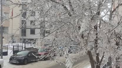 Ardahan’da Sibirya soğukları: araçlar çalışmadı, ağaçlar kırağı tuttu!