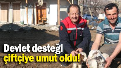 Devlet desteği çiftçiye umut oldu!