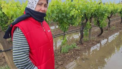 Manisa'da bahar yağmurları üreticiyi sevindirdi