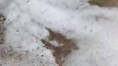 Seyitgazi'nde dolu yağışı: 20 dakikada her yer beyaza büründü