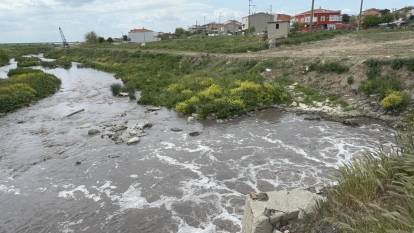 Tekirdağ'da çevre kirliliği denetimleri: 50 milyon TL ceza