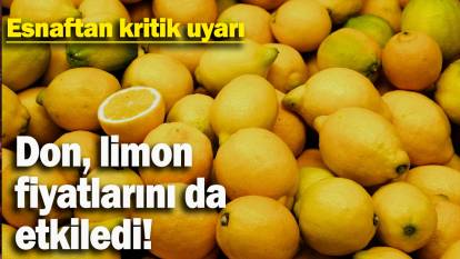 Pazar esnafı: "Limonun fiyatı daha da artar çünkü soğuk vurdu hepsini, don vurdu"