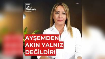 Basın-İş Sendikası'ndan Ayşemden Akın'a Tehditler İçin Kaygı Açıklaması