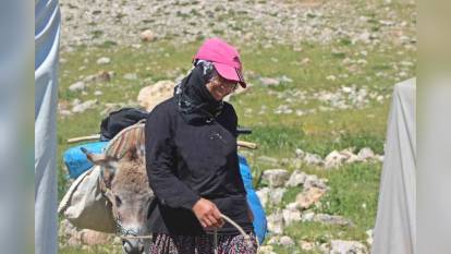 Erzincan'da göçerler zor şartlarda tulum peyniri üretimi yapıyor