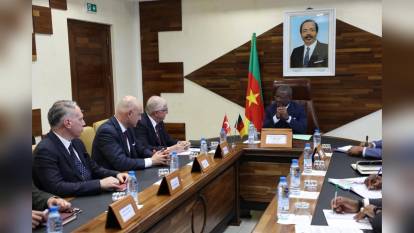 Güler, Kamerun Başbakanı Ngute ile görüştü