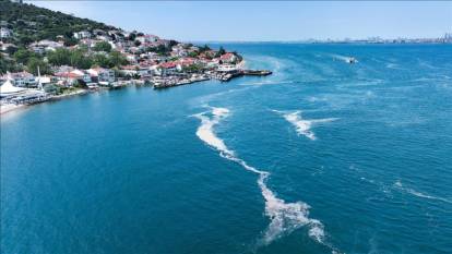 Marmara Denizi'nde büyük tehlike! Müsilaj kabusu geri döndü