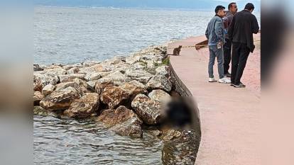 Karamürsel'de sahil kayalıklarında erkek cesedi bulundu: Kimliği henüz belirlenemedi