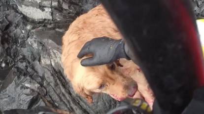 Burdur'da Avcıların Zorlu Gecesi: Uçuruma Düşen Köpeği Halatla Çıkardılar