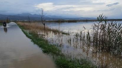 Sultanhisar’da Kurutma Kanalı Taştı: Tarım Arazileri Sular Altında