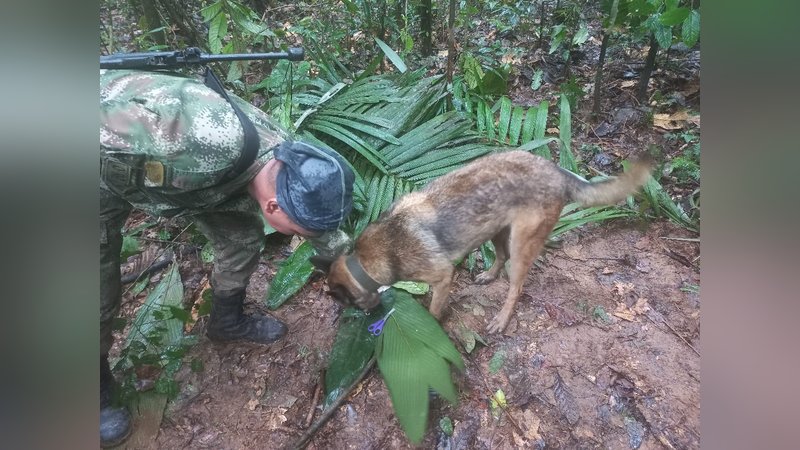 aa-20230517-31164201-31164194-kolombiyada-16-gun-once-kaybolan-kucuk-ucagin-enkazi-bulundu.jpg