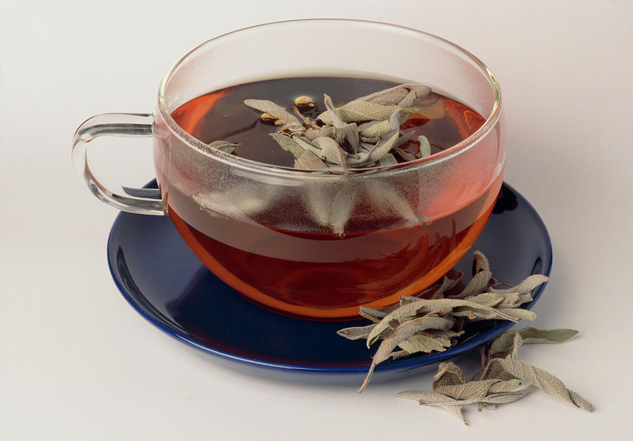 sage-tea-th-foto-werbungscience-photo-library.jpg