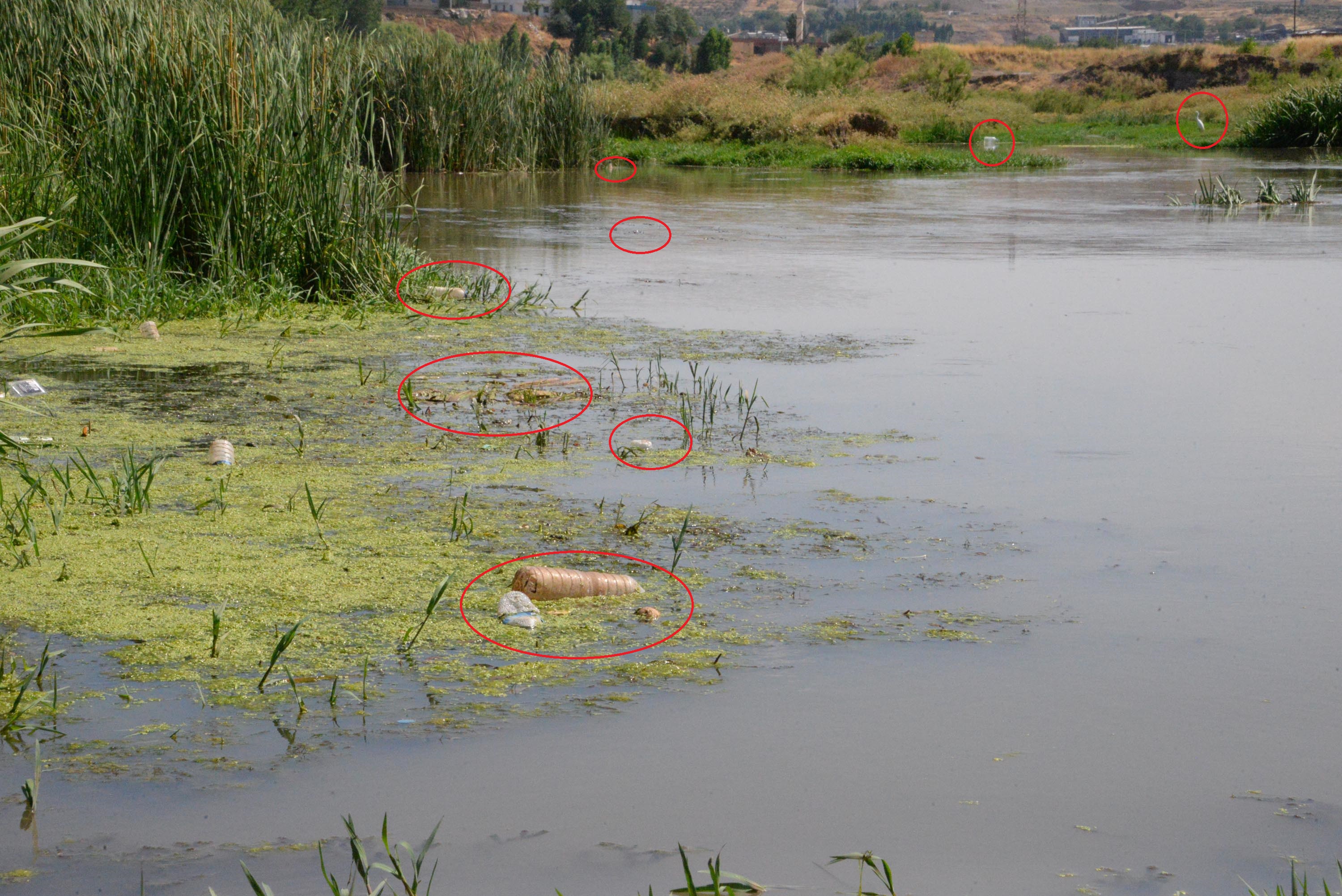 piknikcilerin-kirlettigi-dicle-nehri-icinuyari-5642-dhaphoto1.jpg