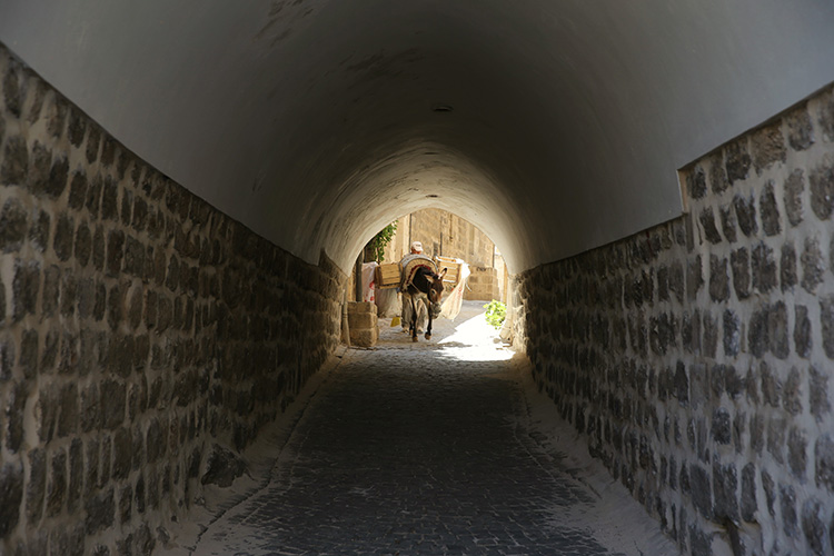 07-2023-20072023-mardin3.jpg