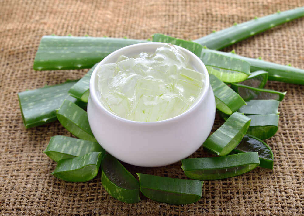 1-aloe-vera.jpg