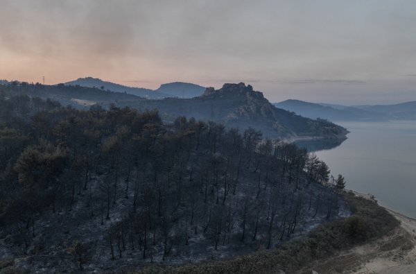 aa-20230823-31975009-31975007-efforts-to-extinguish-wildfire-continue-in-western-turkiye.jpg