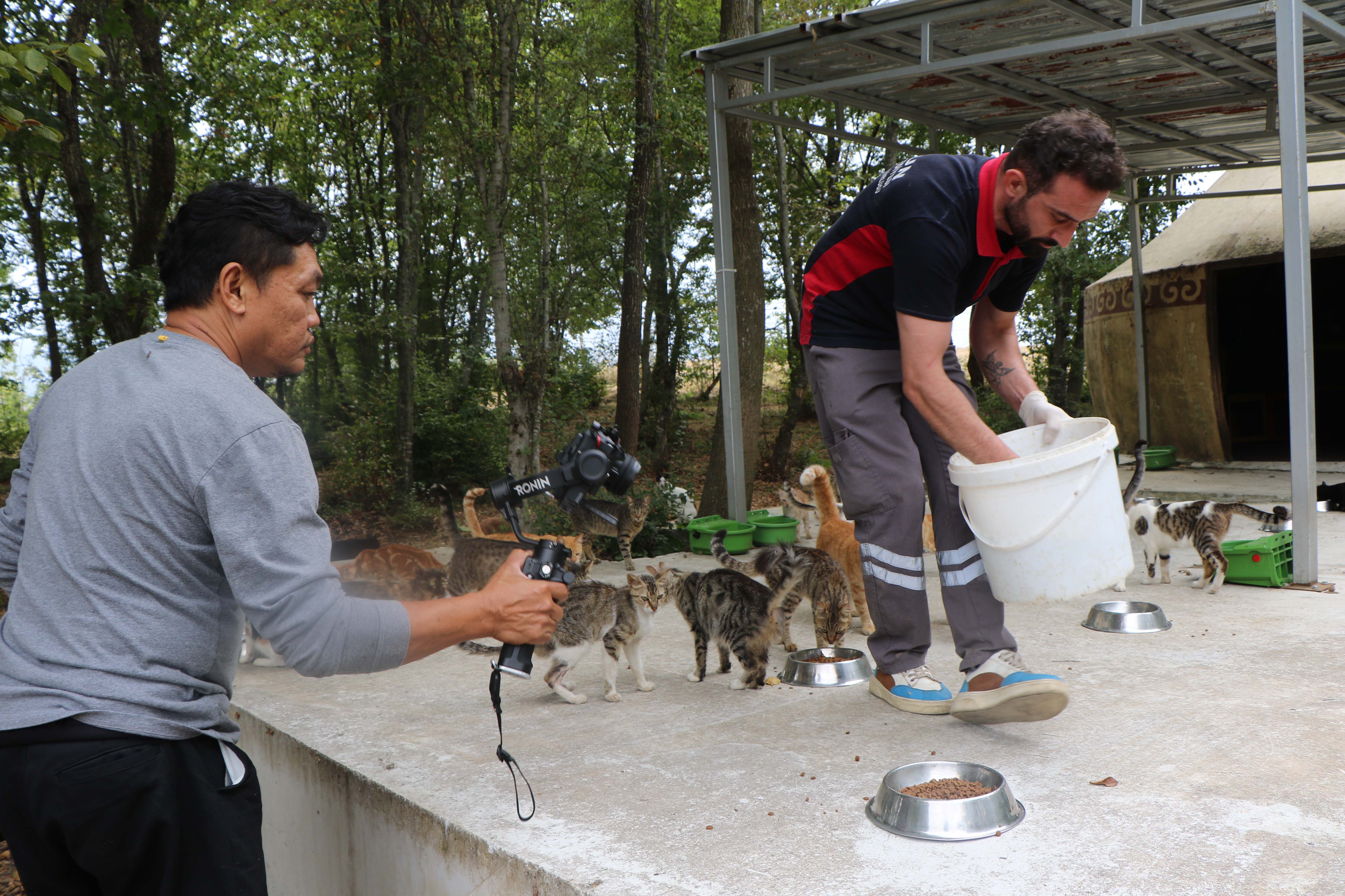 samsundaki-kedi-kasabasi-tayland-televizyonunda-belgesel-oluyor-7345-dhaphoto10.jpg