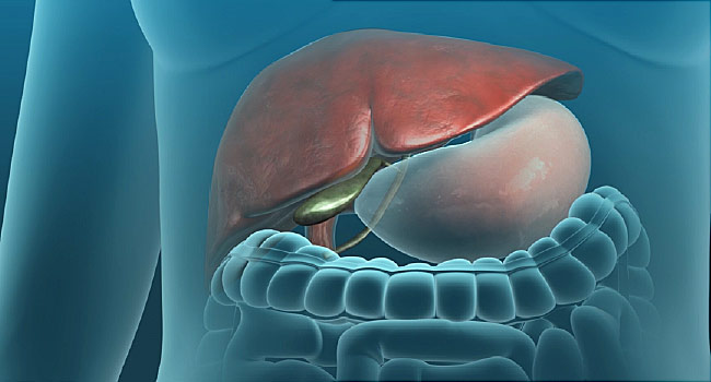 650x350-nucleus-gallbladder-surgery-video.jpg