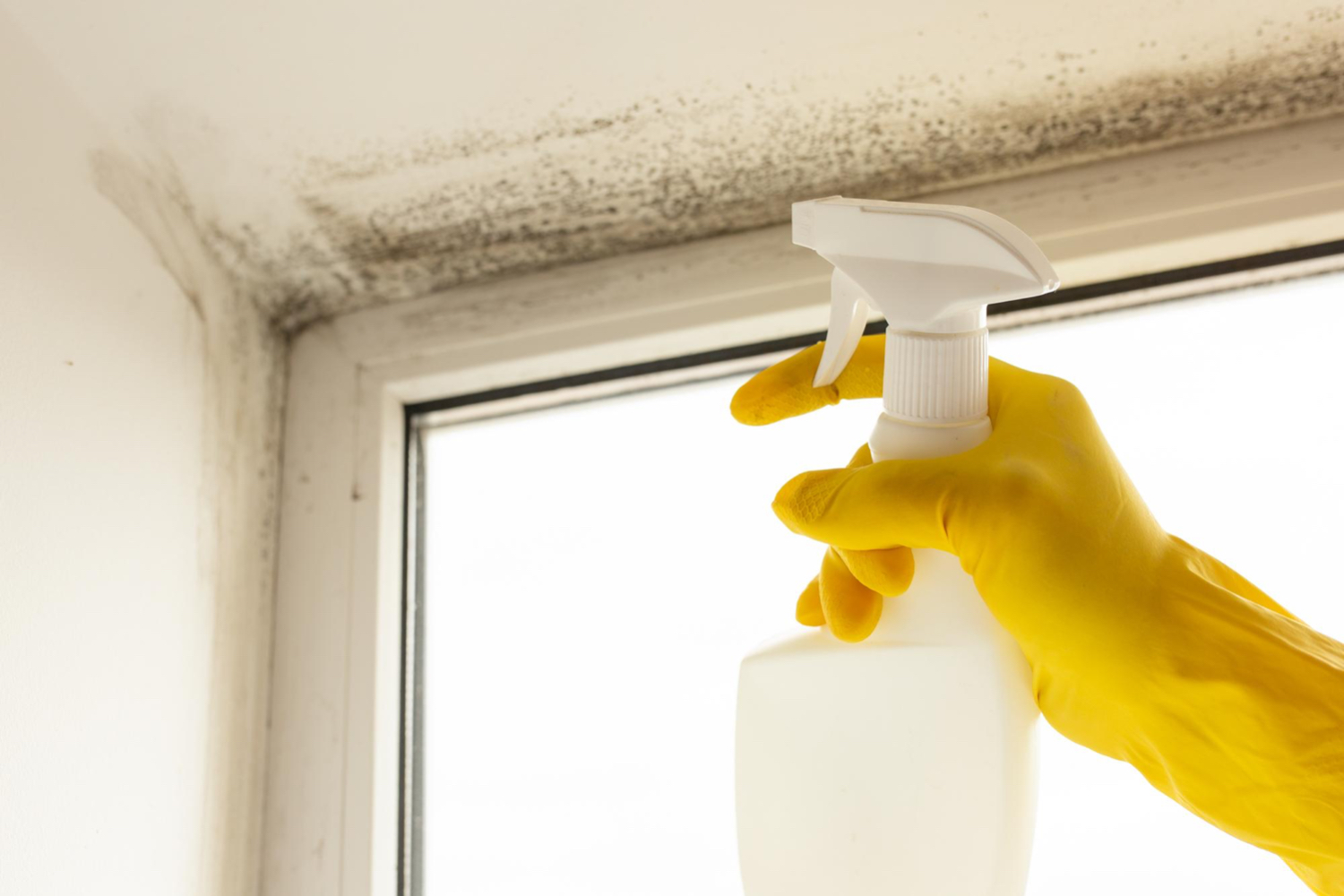 cleaning-surface-mold-with-disinfectant-spray.jpg