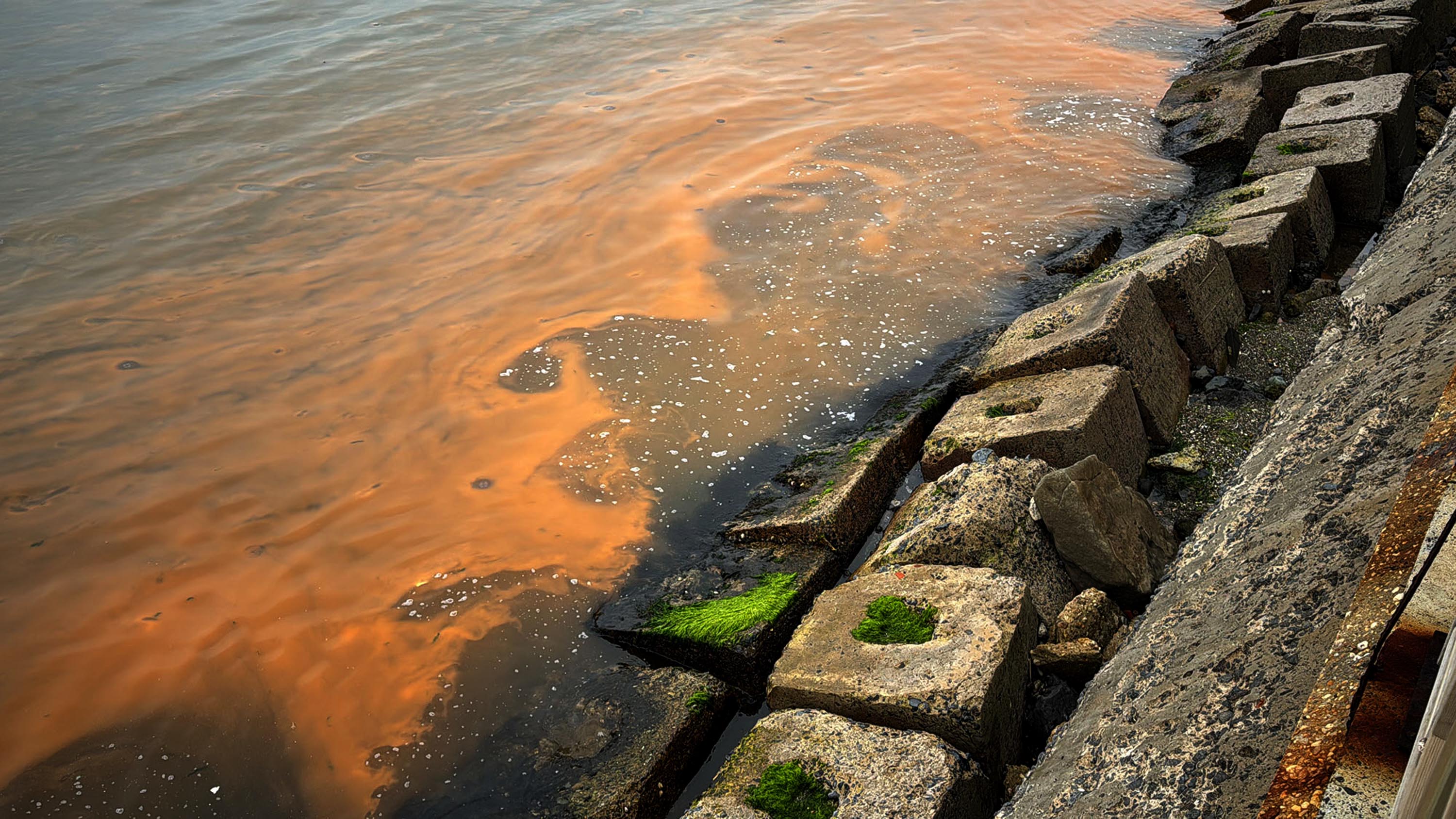 tekirdag-sahilinde-denizin-rengi-turuncu-21050-2.jpg