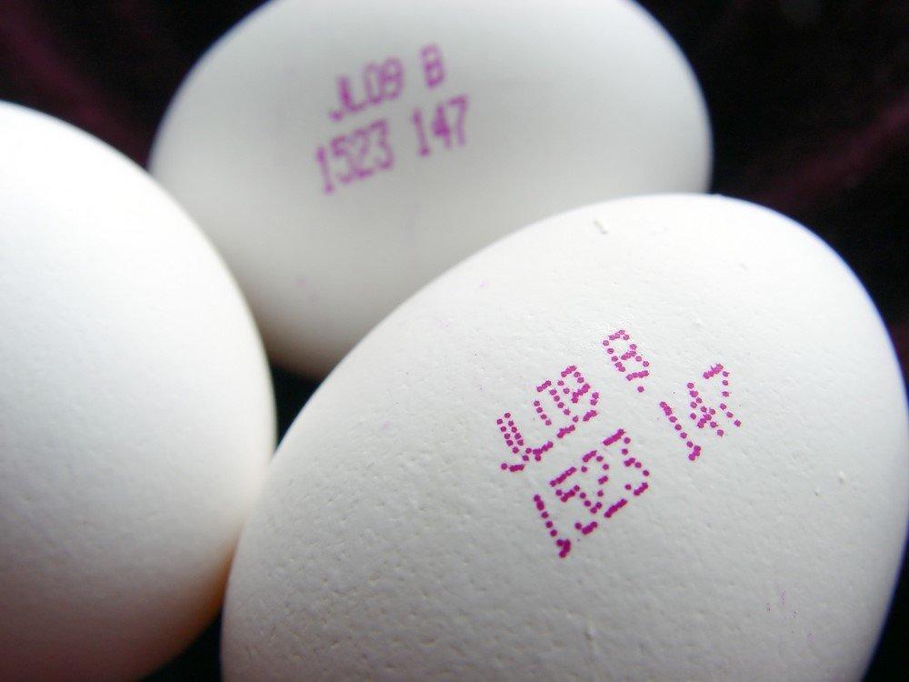 yumurta-uzerindeki-kodlar-5-1-4-3-1538480217.jpg