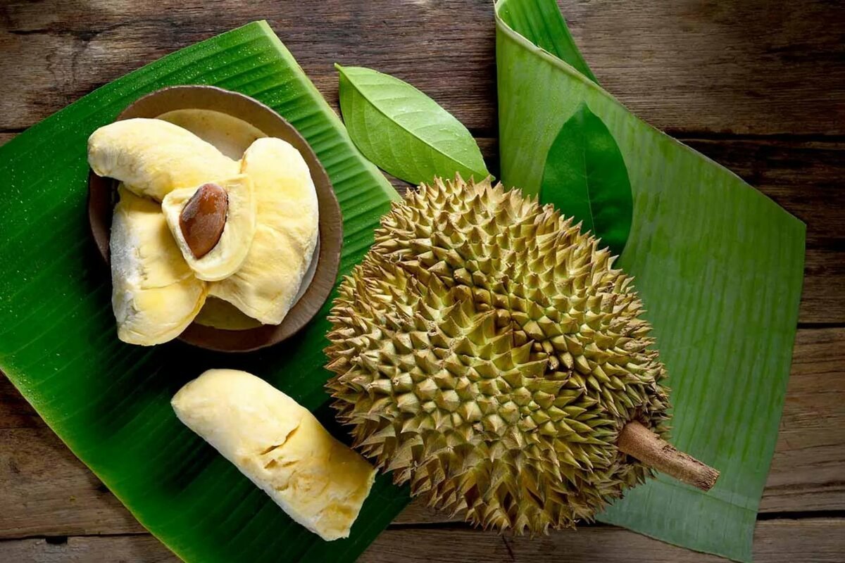 1678163950-klau-club-p-durian-derevo-instagram-15.jpg