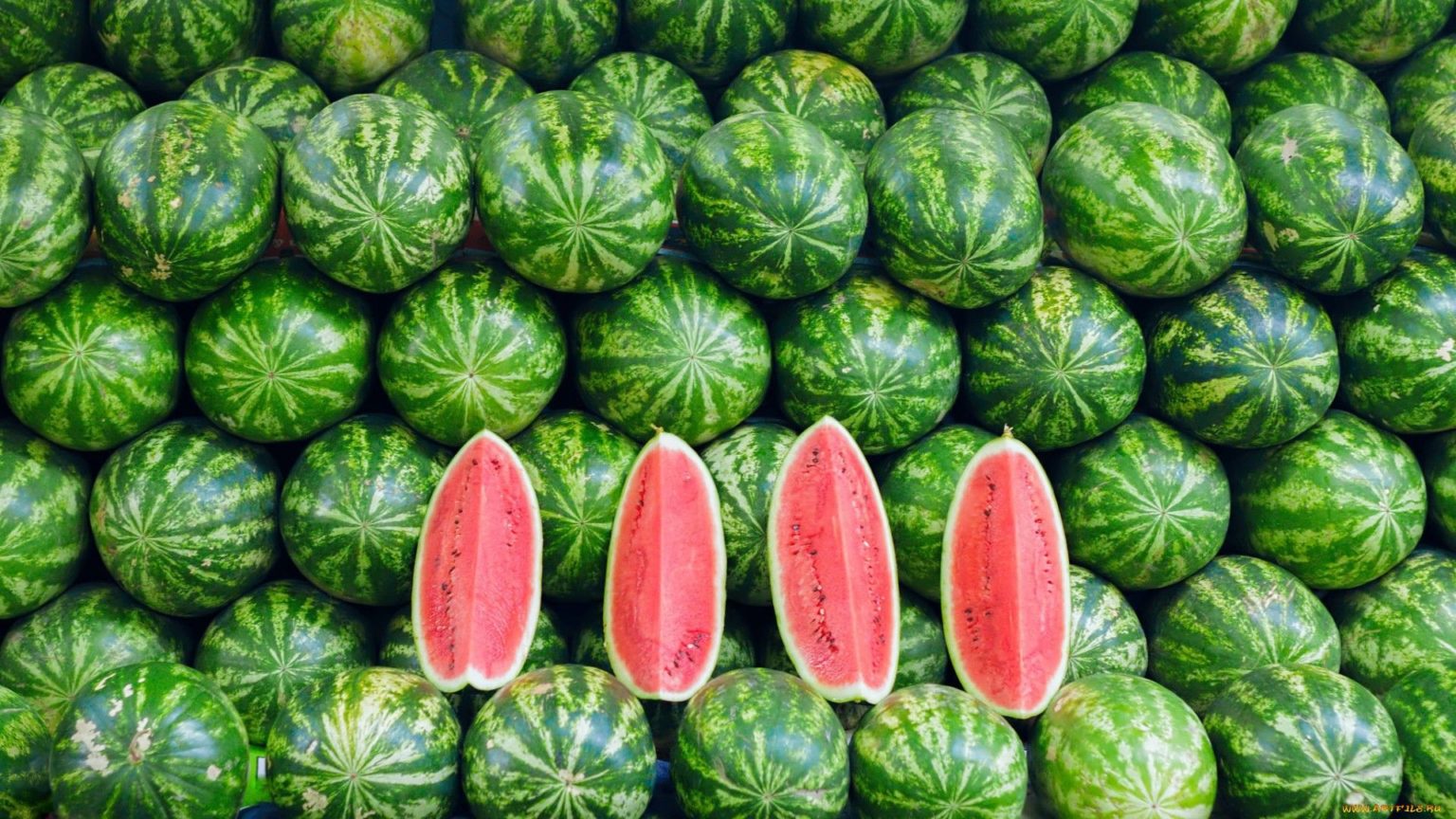 watermelon-wallpaper-06-1920x1080-1-1536x864.jpg