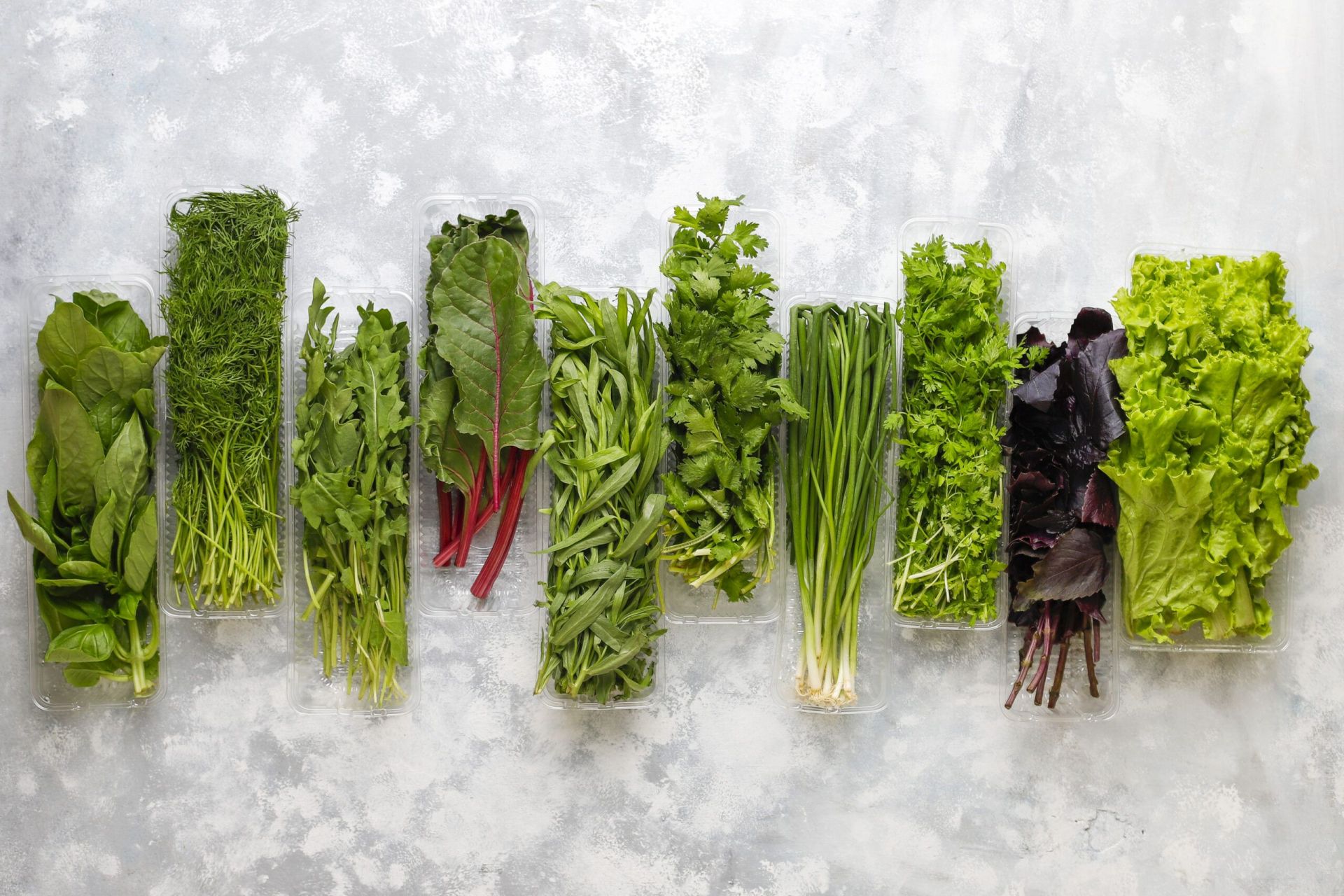 fresh-greens-basil-coriander-lettuce-purple-basil-mountain-coriander-dill-green-onion-plastic-boxes-grey-concrete-scaled.jpg