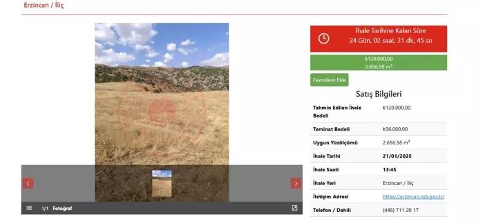 milli-emlak4.jpg