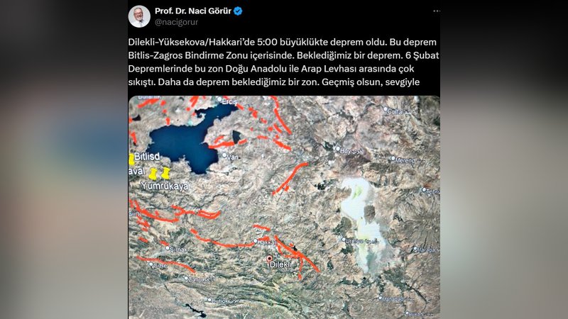 naci-gorur.jpg