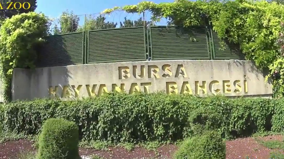 bursa.jpg