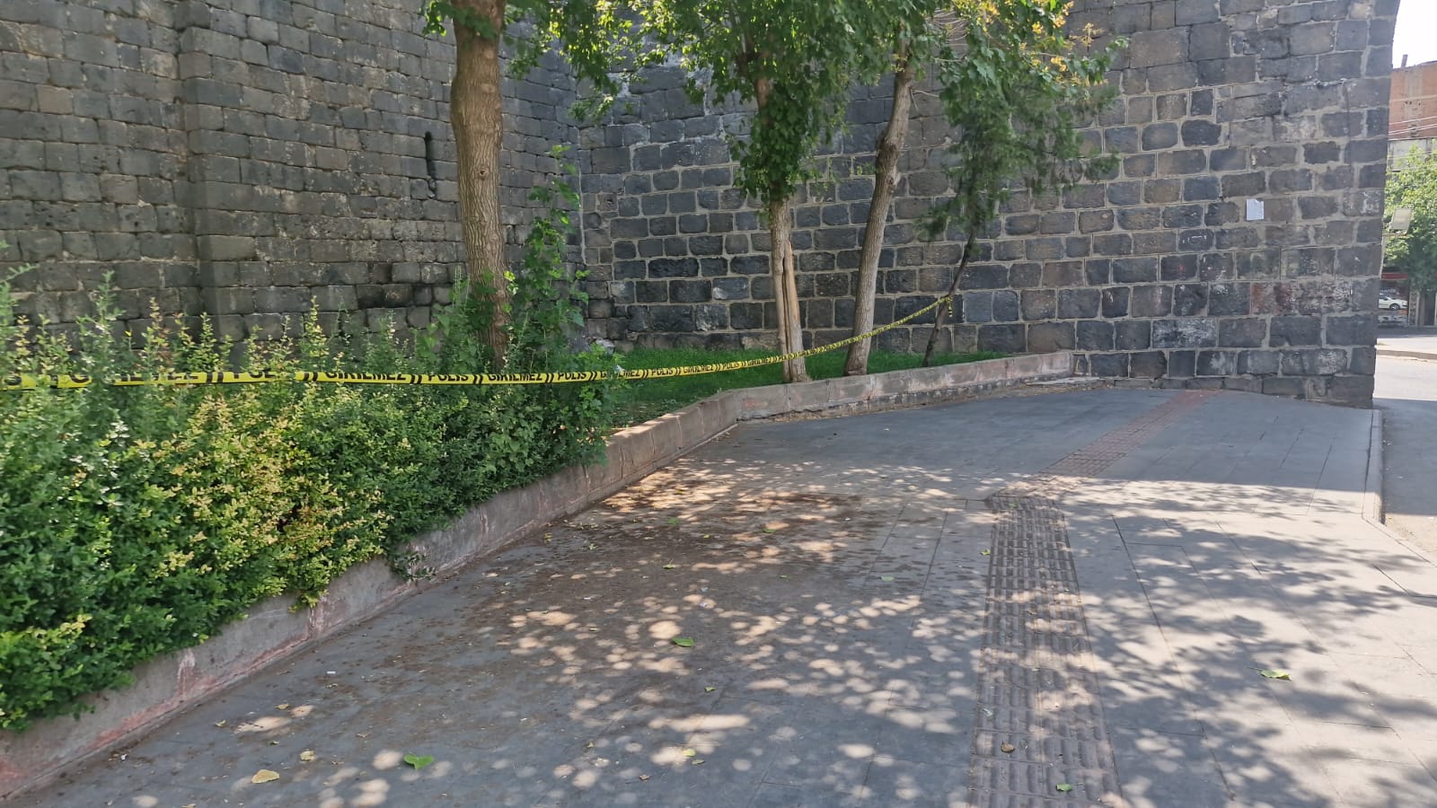 5-aylik-hamile-helin-birlikte-yasadigi-832531-246704.jpg